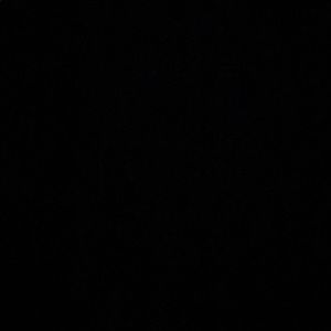 Meet your Posher, Noah